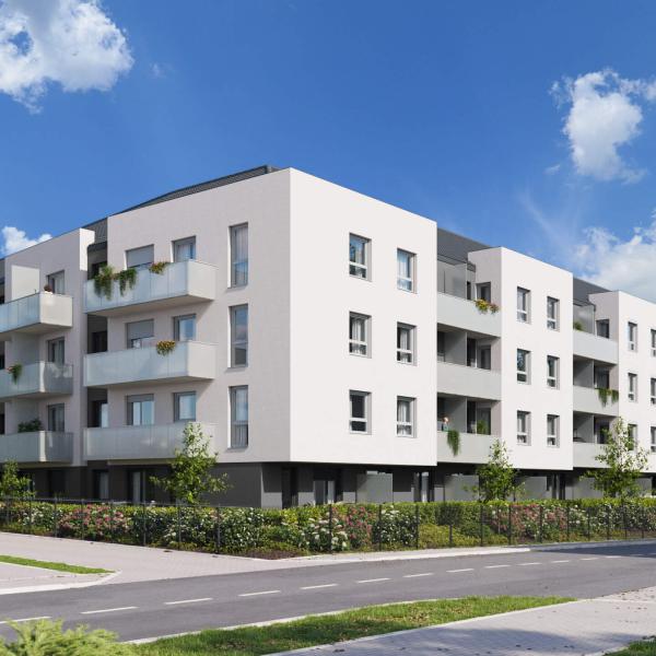 Bolesławiec Nowa Polna