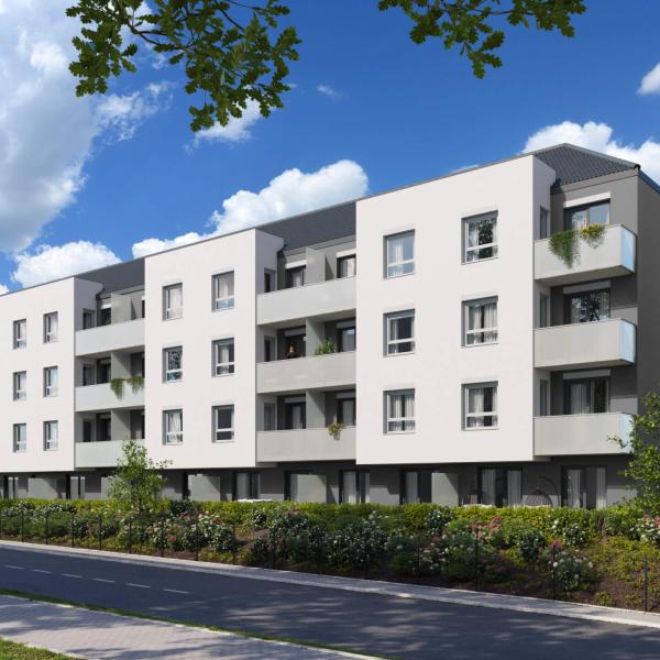 Bolesławiec Nowa Polna